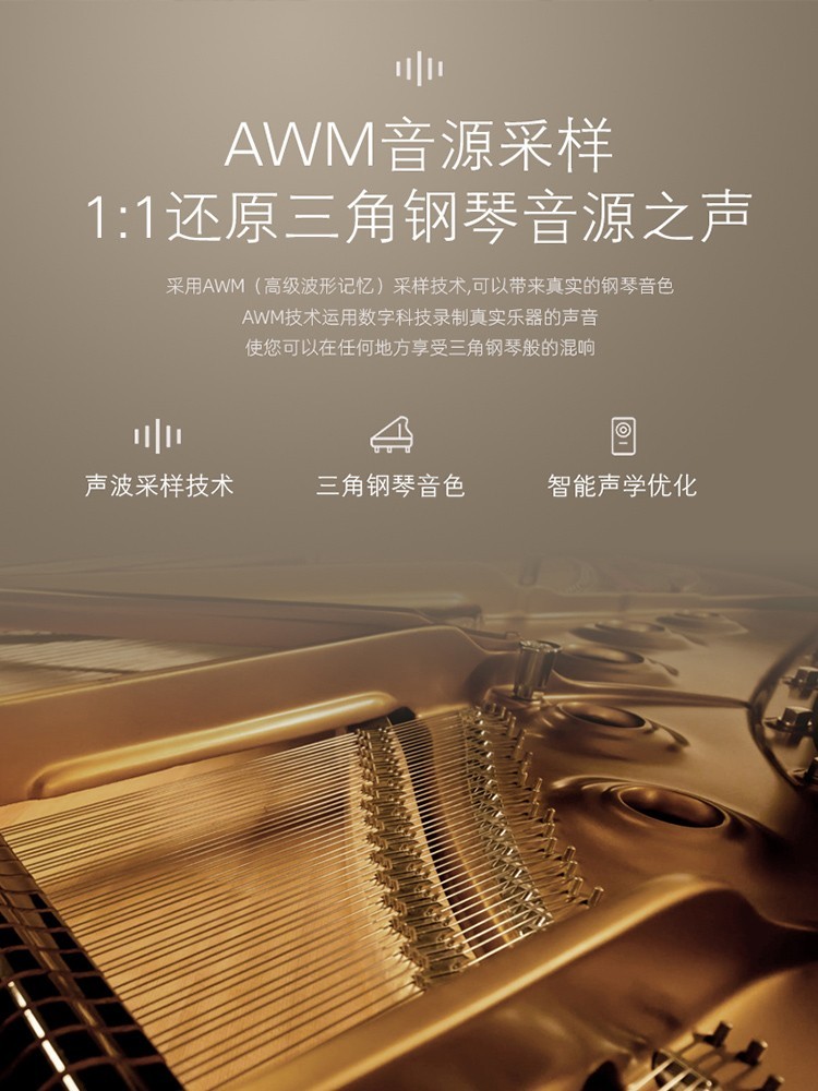 Grand Piano 88-Key Weighted Sm - Smart Home Key review and price