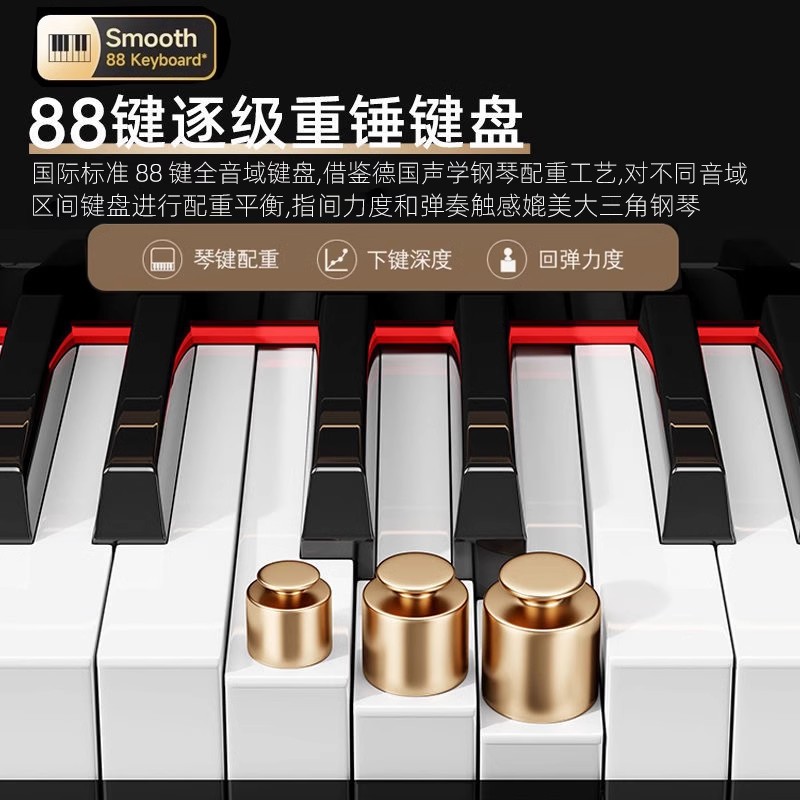 Grand Piano 88-Key Weighted Sm - Smart Home Key review and price