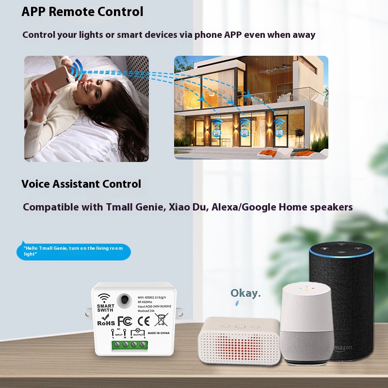 The Tuya Smart Switch-Off Devi - Tuya Smart Switch review and price