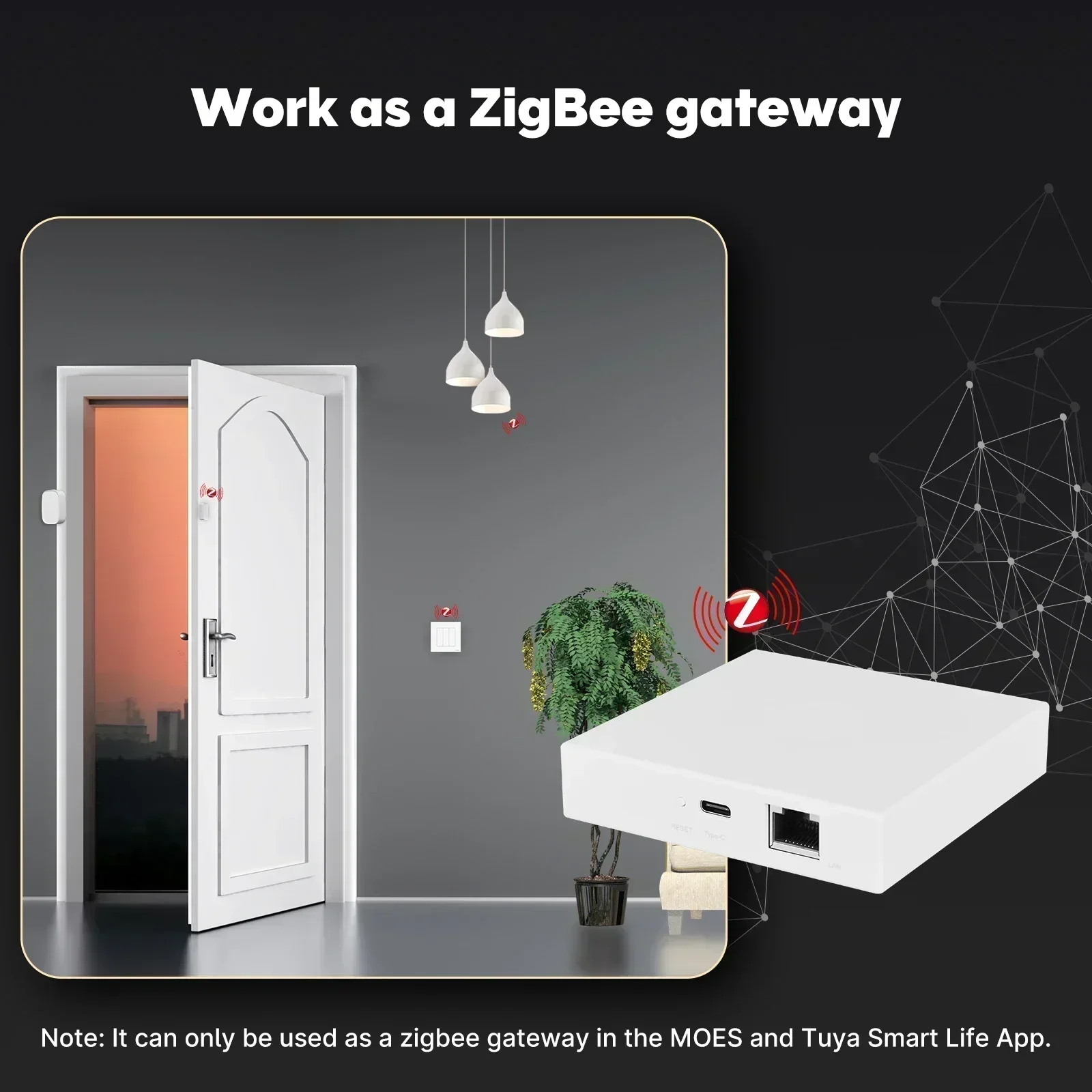 MOES Tuya Zigbee Matter Thread - Smart Home Dashboard review and price