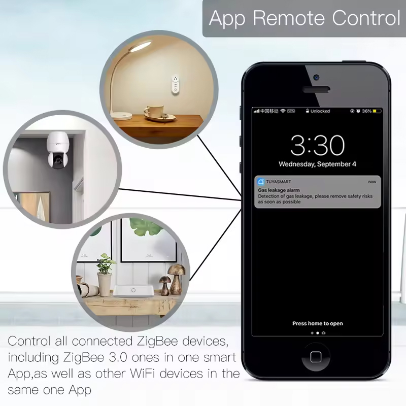 Moes Tuya ZigBee 3.0 Smart Gat - Smart Home Dashboard review and price