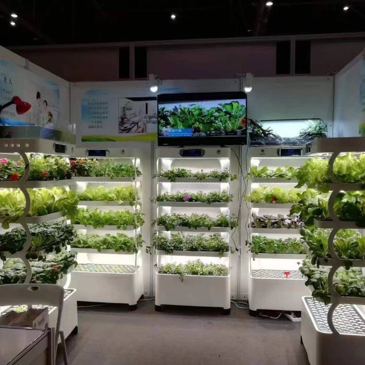Intelligent Hydroponic Growing - Smart Home Uses review and price