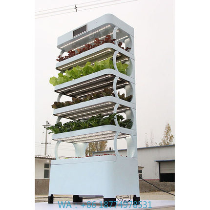 arming Home Hydroponic Growing - Smart Home Uses review and price