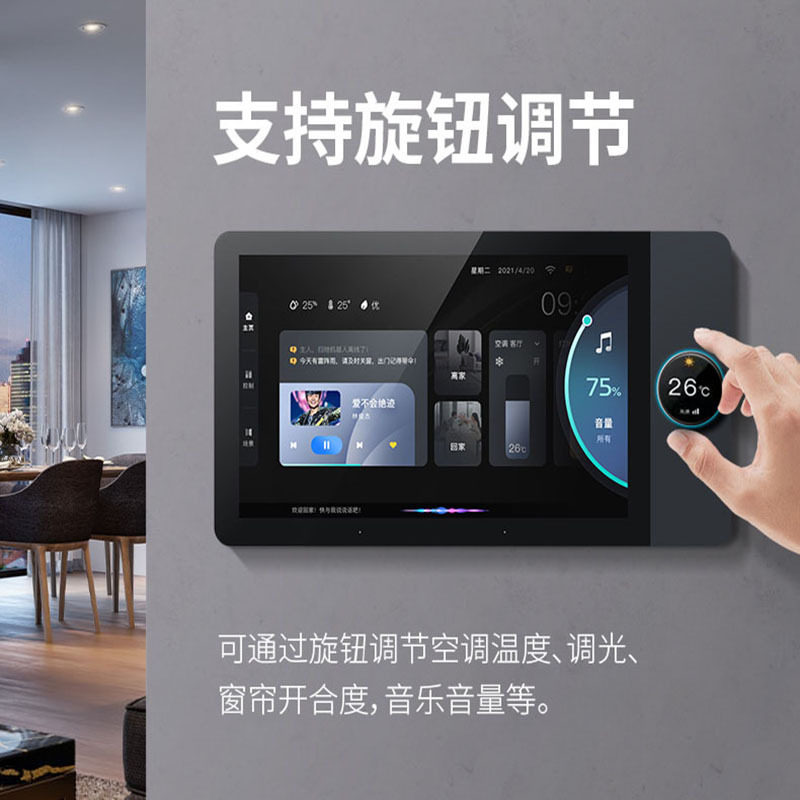 Doodle Smart Central Control S - Zigbee Gateway review and price