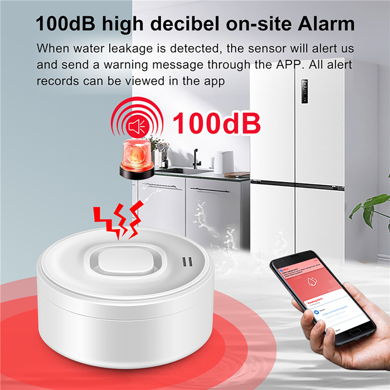 Smart WIFI Water Leak Detector - Wifi Water Sensor review and price