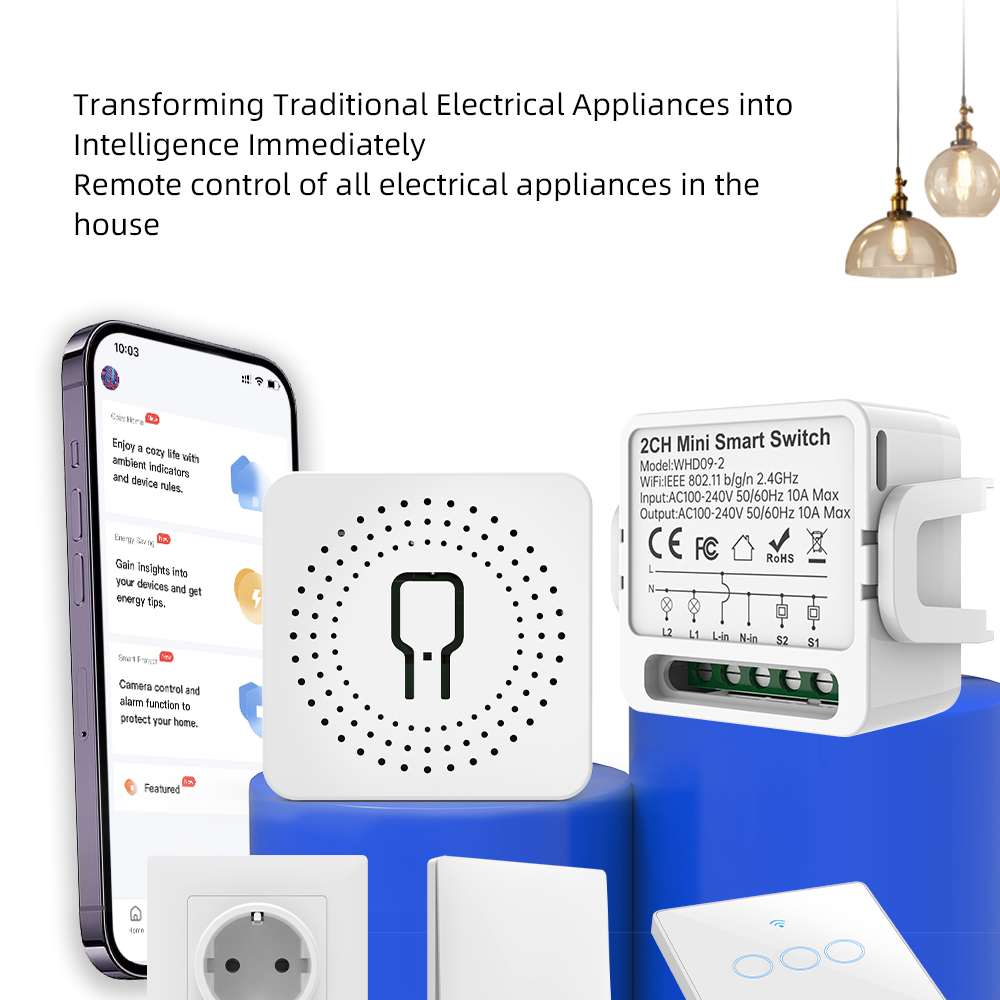 2 Way Tuya Smart Switch 2Gang  - Smart Home For Living review and price
